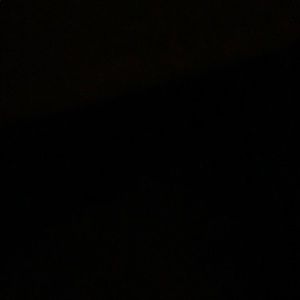 Meet your Posher, Shayla